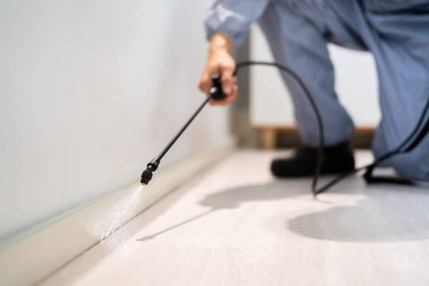 Licensed Pest Control service in New Jersey, NJ - Nex Pest Control
