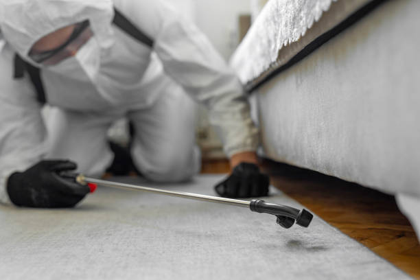 Professional Pest Control technician working in New Jersey, NJ
